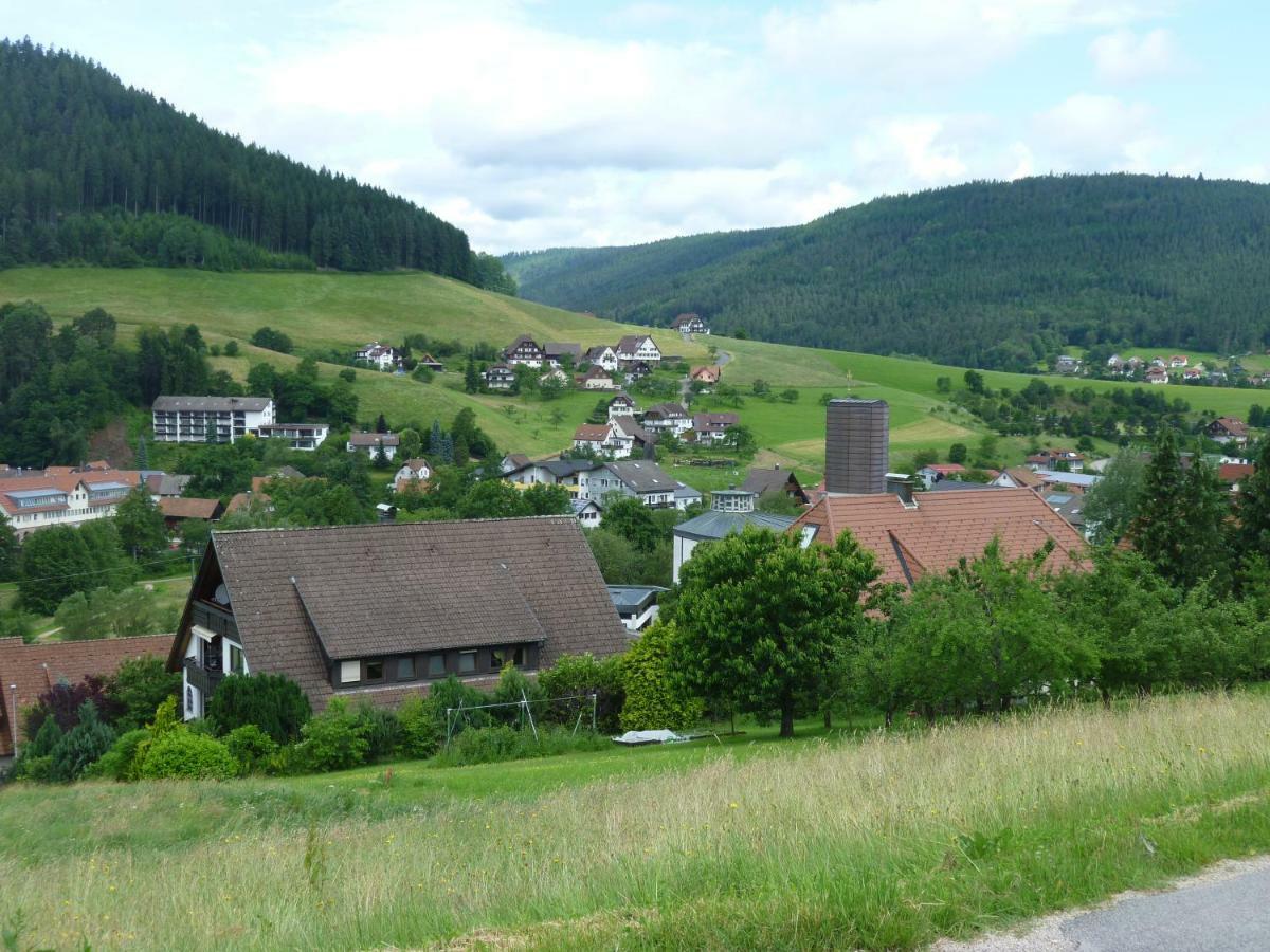 Naehe Nationalpark Apartment Baiersbronn Exterior photo