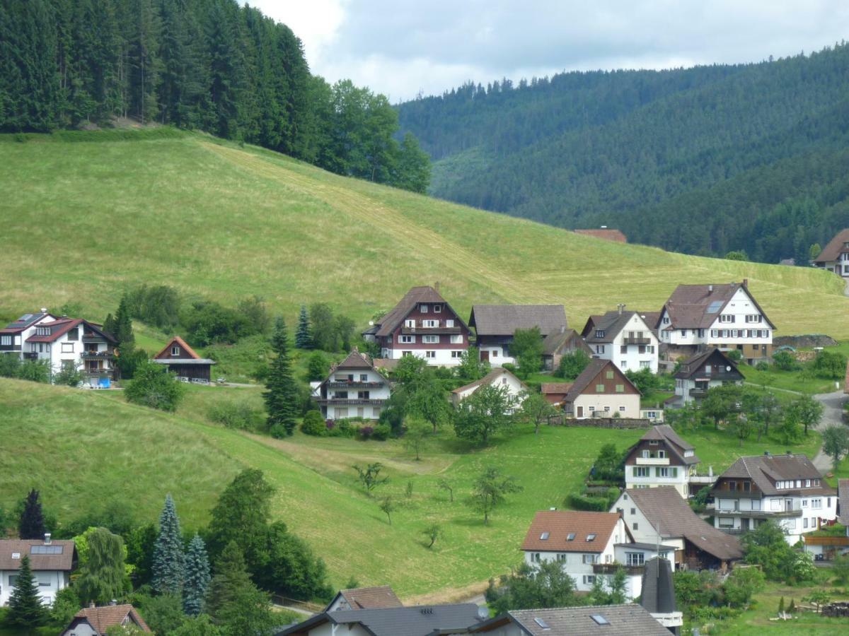 Naehe Nationalpark Apartment Baiersbronn Exterior photo