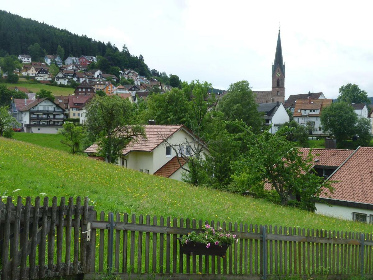 Naehe Nationalpark Apartment Baiersbronn Exterior photo