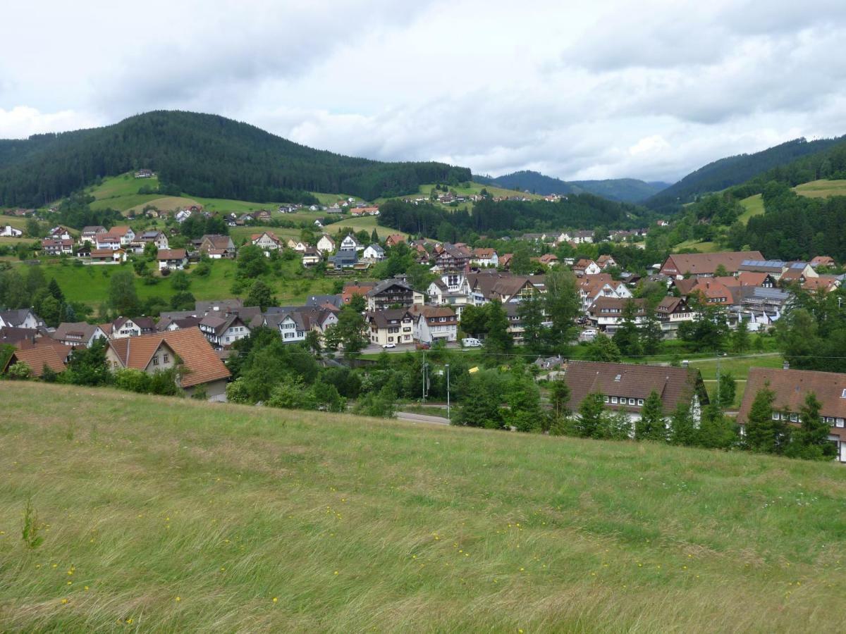 Naehe Nationalpark Apartment Baiersbronn Exterior photo